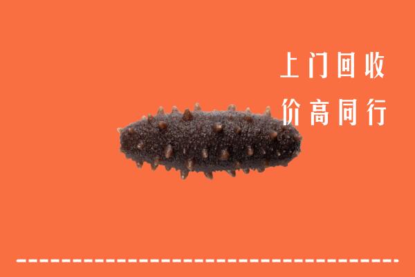 高价求购：齐齐哈尔市铁锋区回收海参