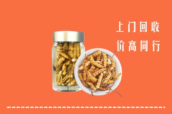 齐齐哈尔市铁锋区回收冬虫夏草