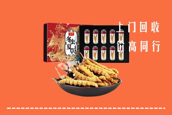 齐齐哈尔市铁锋区回收虫草